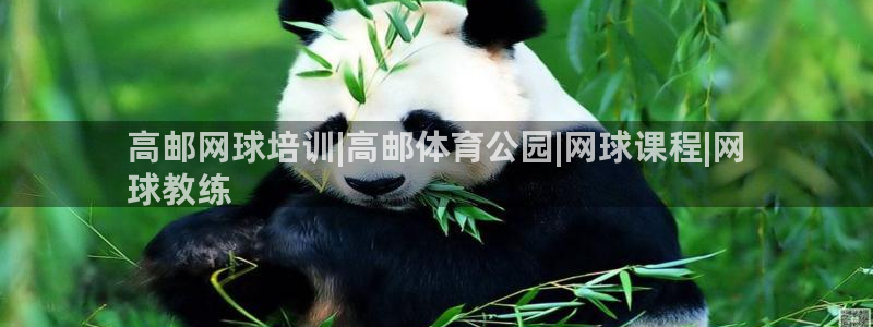 富联娱乐客户端app下载服务器失败怎么回事：高邮网球