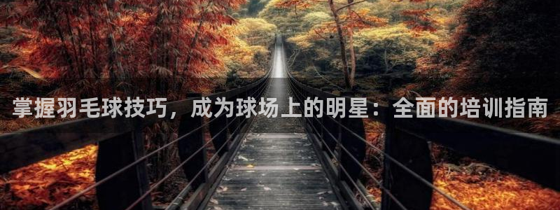 富联娱乐注册7o777皓：掌握羽毛球技巧，成为球场上