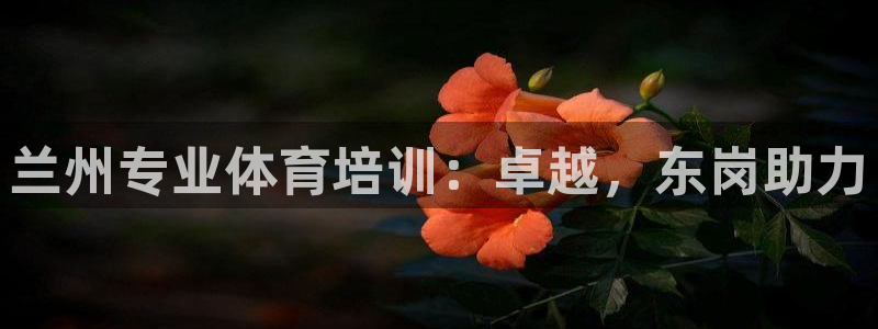 富联娱乐平台开户条件：兰州专业体育培训：卓越，东岗助