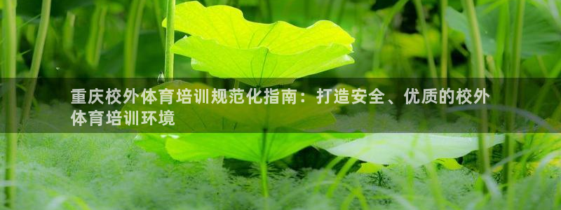 富联平台挂机：重庆校外体育培训规范化指南：打造安全、