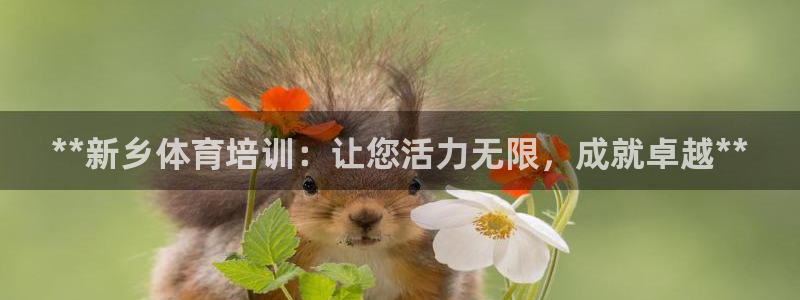 富联平台飞 411o31 富联：**新乡体育培训：让