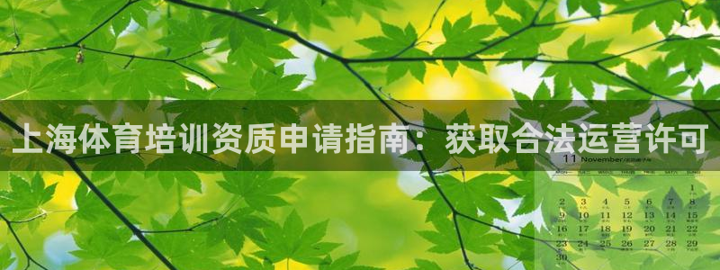 富联平台官网登录：上海体育培训资质申请指南：获取合法