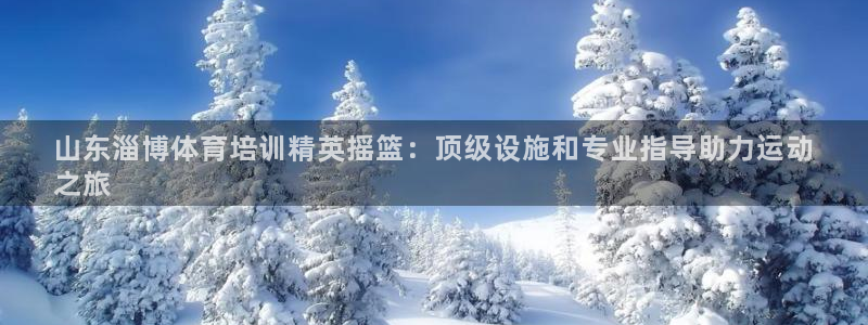 富联官网注册不了账号：山东淄博体育培训精英摇篮：顶级
