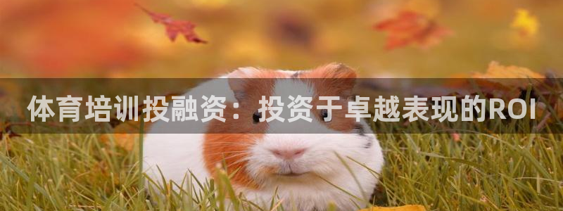 富联娱乐登录注册入口官网网址查询：体育培训投融资：投