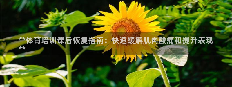 富联平台万 3.7.OO.7.3.5：**体育培训课