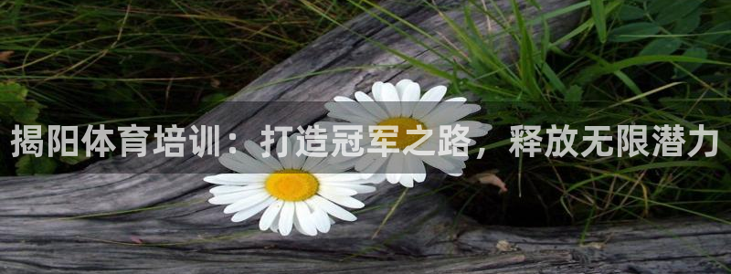 富联平台网站：揭阳体育培训：打造冠军之路，释放无限潜