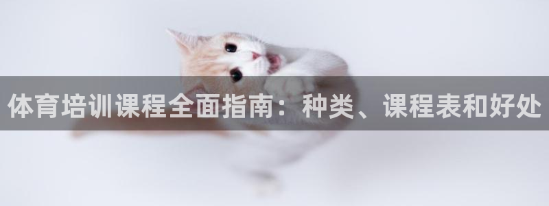 富联平台总代理是谁：体育培训课程全面指南：种类、课程
