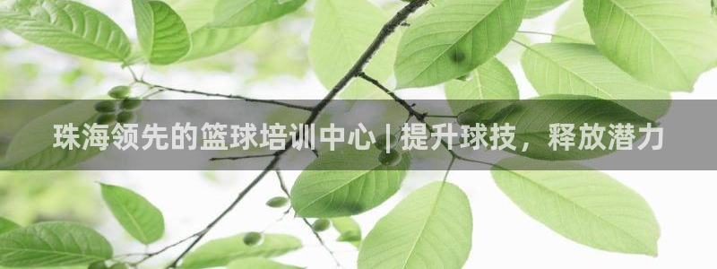 富联平台用户登陆不上：珠海领先的篮球培训中心 | 提