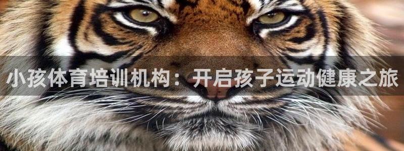富联平台用户登陆不上：小孩体育培训机构：开启孩子运动