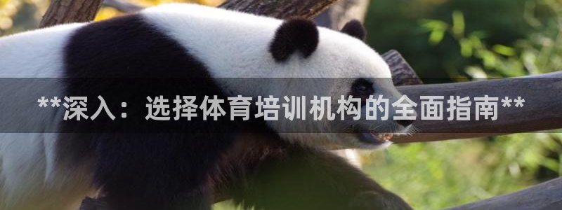 富联股份股票代码：**深入：选择体育培训机构的全面指