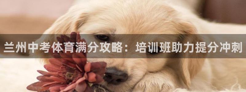 富联平台奇7O777：兰州中考体育满分攻略：培训班助