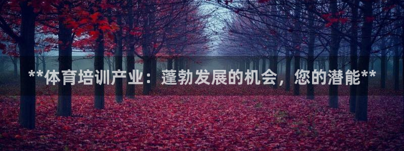 富联平台是什么平台：**体育培训产业：蓬勃发展的机会