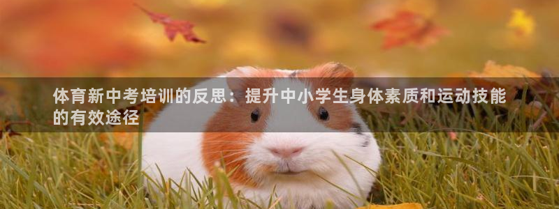 富联娱乐下载官网：体育新中考培训的反思：提升中小学生