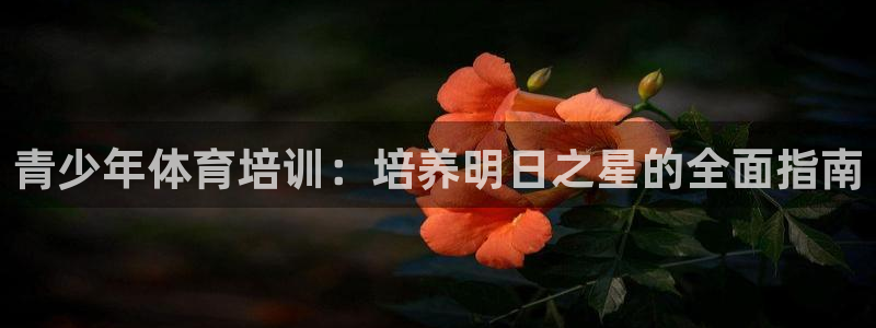 富联申购哪天上市交易：青少年体育培训：培养明日之星的
