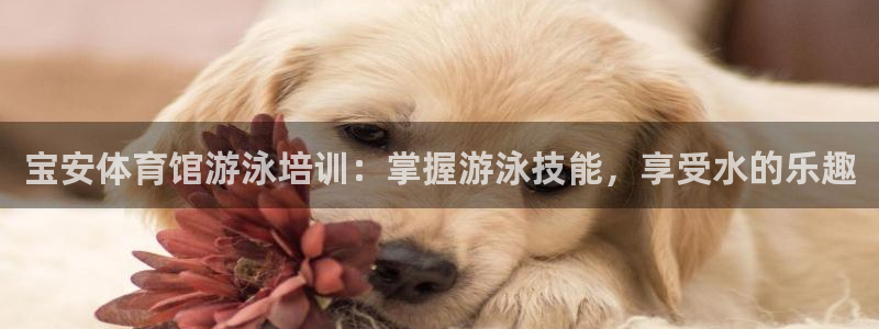 富联娱乐代理怎么做：宝安体育馆游泳培训：掌握游泳技能