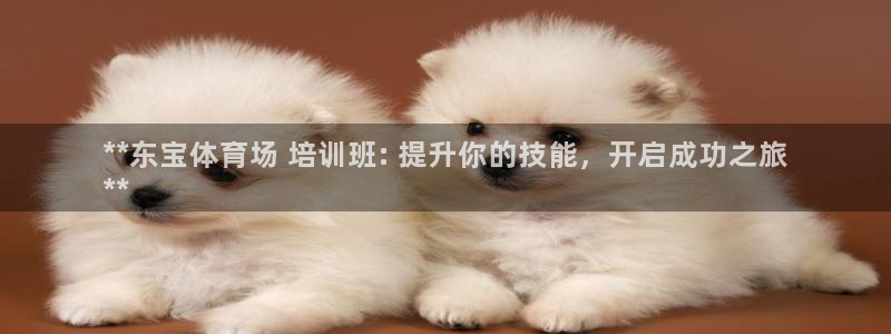 富联官方网站下载app：**东宝体育场 培训班: 提