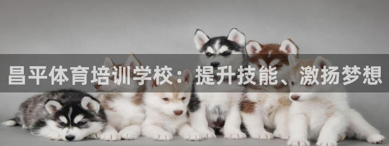 富联娱乐怎么样知乎：昌平体育培训学校：提升技能、激扬