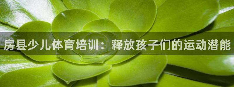 富联平台容7O777：房县少儿体育培训：释放孩子们的
