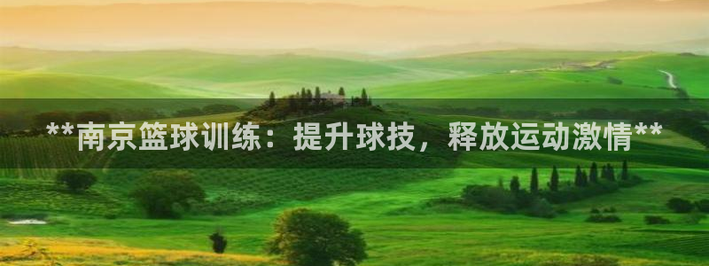 富联平台总代：**南京篮球训练：提升球技，释放运动激