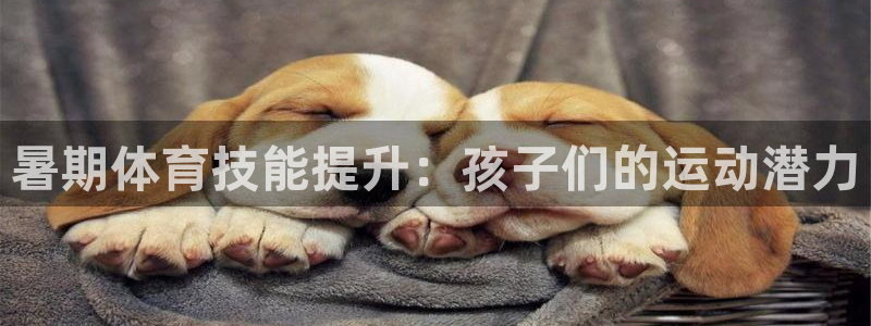 富联娱乐客服微信：暑期体育技能提升：孩子们的运动潜力