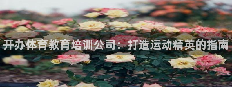 富联一区属于哪个街道：开办体育教育培训公司：打造运动