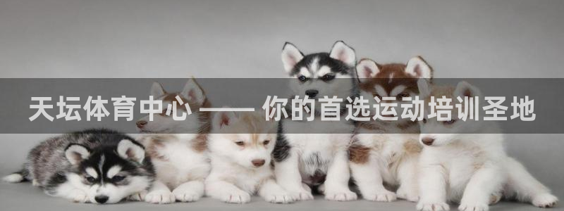 富联平台官网登录不了：天坛体育中心 —— 你的首选运