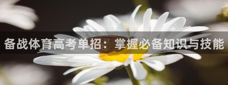 富联娱乐优 411o31 富联：备战体育高考单招：掌