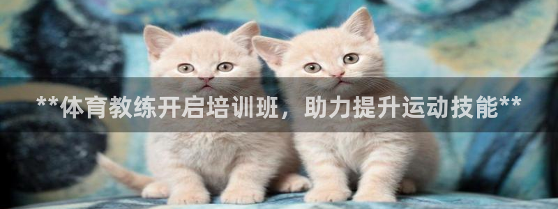 富联股份：**体育教练开启培训班，助力提升运动技能*