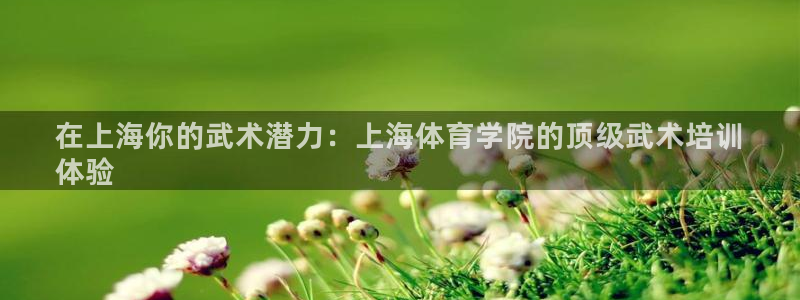富联平台赢钱不给退怎么办呢：在上海你的武术潜力：上海体育学院