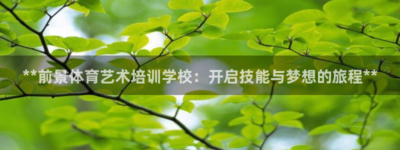 富联平台寇 37oo735：**前景体育艺术培训学校：开启技
