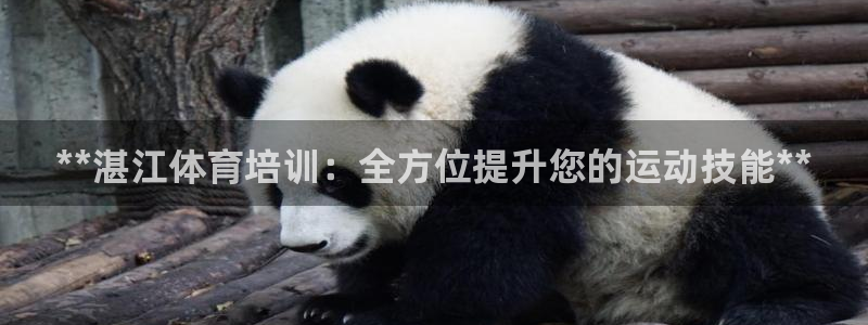 富联平台官网登录入口下载：**湛江体育培训：全方位提升您的运