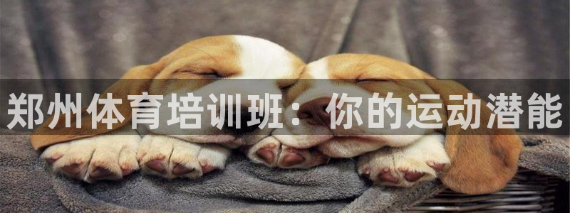 中国富联股票行情：郑州体育培训班：你的运动潜能
