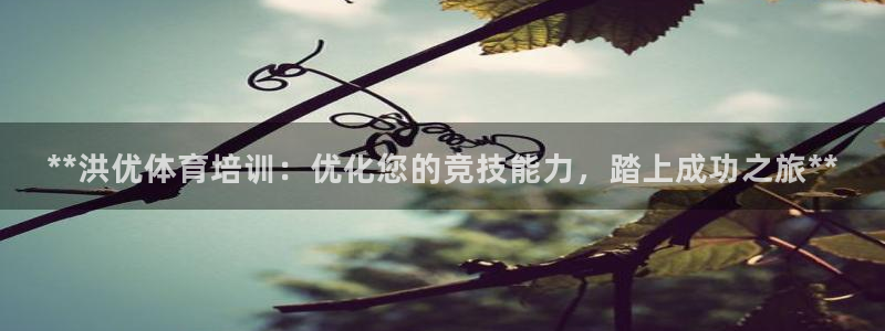 富联申购什么时候开盘：**洪优体育培训：优化您的竞技