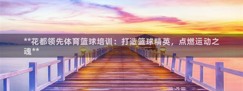 富联丰地产交易平台：**花都领先体育篮球培训：打造篮