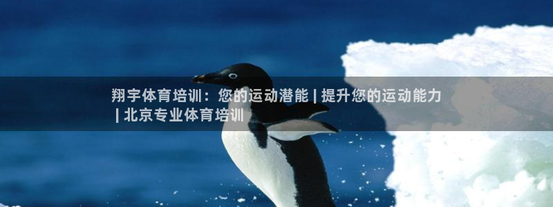 富联官网代理系列产品：翔宇体育培训：您的运动潜能 |
