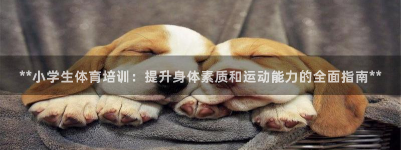 富联娱乐平台怎么样啊