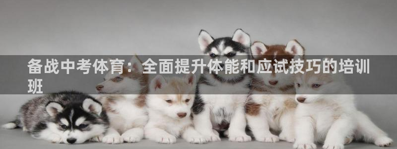 富联娱乐股东：备战中考体育：全面提升体能和应试技巧的培训
班