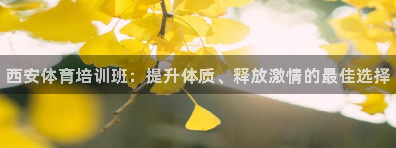 富联娱乐官方网站下载安装：西安体育培训班：提升体质、