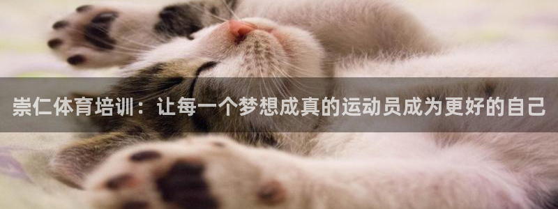 富联娱乐讲7O777：崇仁体育培训：让每一个梦想成真