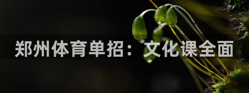 富联商城：郑州体育单招：文化课全面