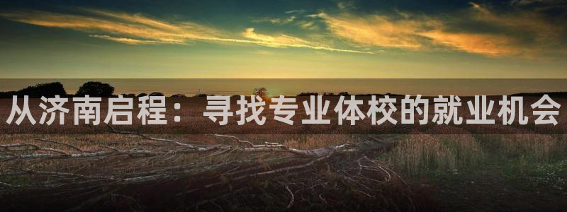 富联股份代码是多少：从济南启程：寻找专业体校的就业机会