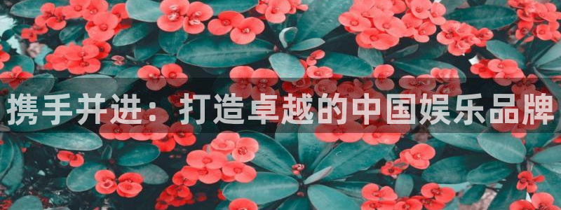 苹果 午夜影院