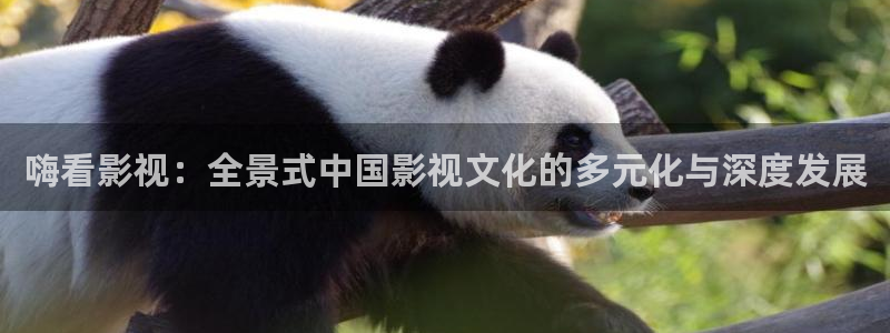 苹果私人影院