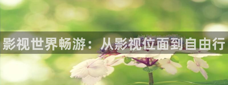 八一影院苹果版